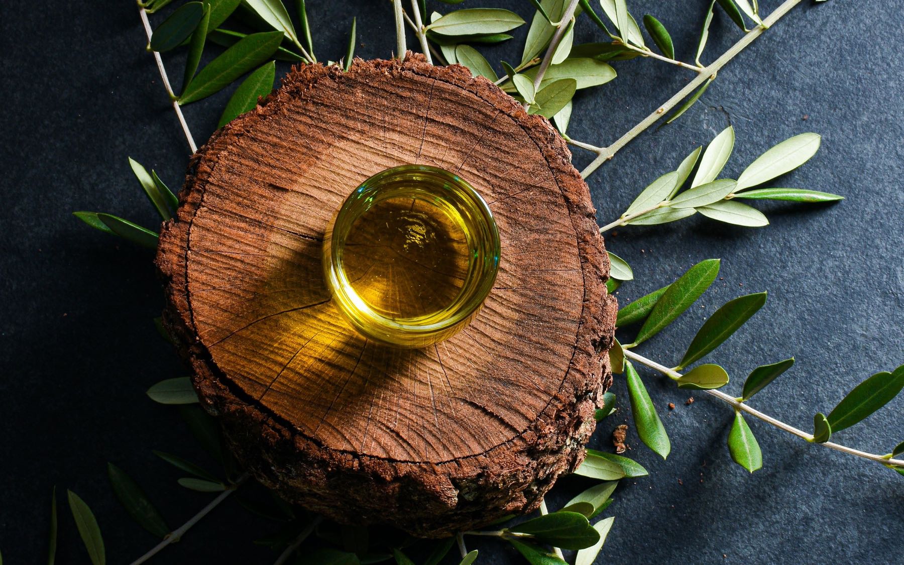 Zeytin kütüğünün üstünde bir kâse zeytinyağı ve çevresinde zeytin dalları